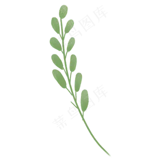 水彩植物绿色叶子免抠图