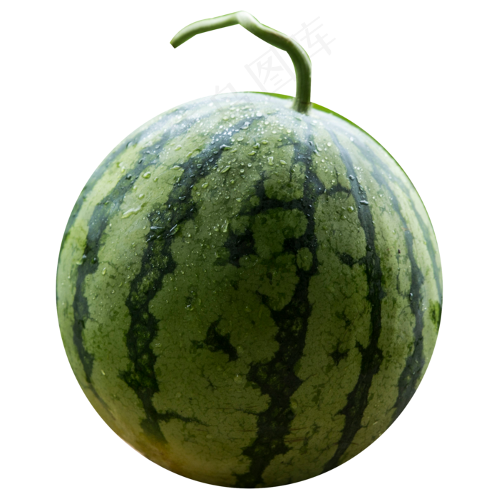 水果西瓜(2000X2000(DPI:300))psd模版下载