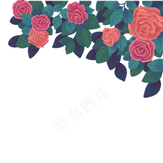 红色玫瑰花花朵