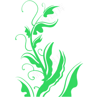 小清新绿色枝藤