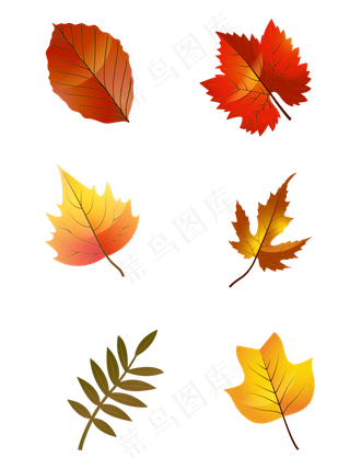 手绘秋天枫叶元素立秋节气,免抠元素