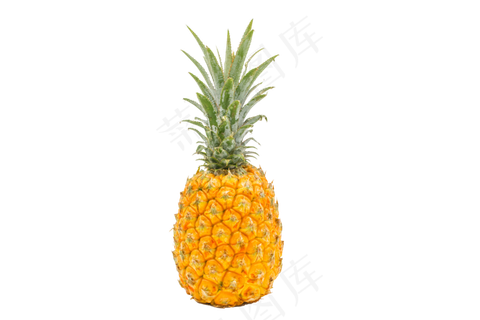 夏季菠萝装饰
