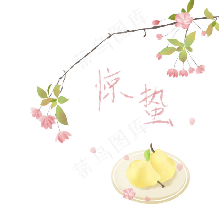 二十四节气惊蛰手绘花与梨