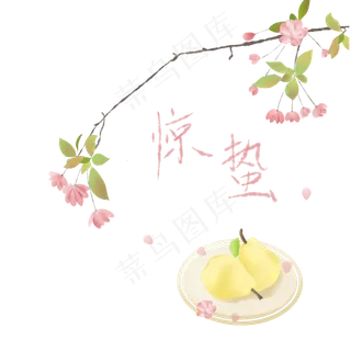 二十四节气惊蛰手绘花与梨