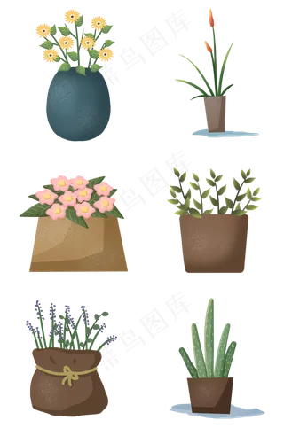 春天植物盆栽室内装饰性绿植