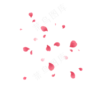 双色玫瑰花瓣PNG