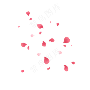 双色玫瑰花瓣PNG