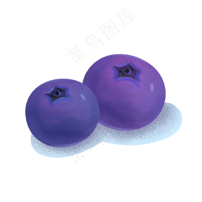 新鲜水果蓝莓插画