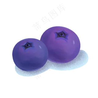 新鲜水果蓝莓插画