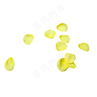 黄色玫瑰花瓣 黄色玫瑰花瓣