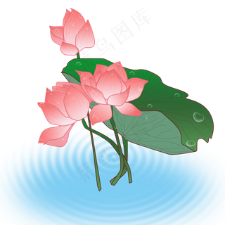 手绘花夏日池塘荷花元素