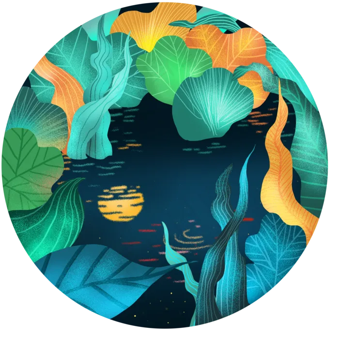 卡通夜晚的荷塘月色风景图(2000X2000(DPI:300))psd模版下载