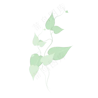 水彩春天植物叶子藤