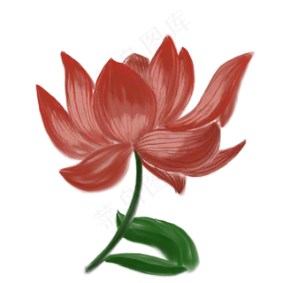 一朵盛开的荷花红色插图免抠