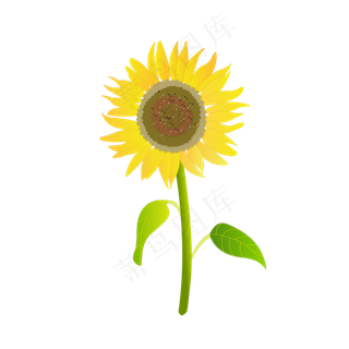 手绘向日葵元素之小清新黄色太阳