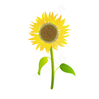 手绘向日葵元素之小清新黄色太阳