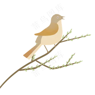 棕色夜莺歌唱