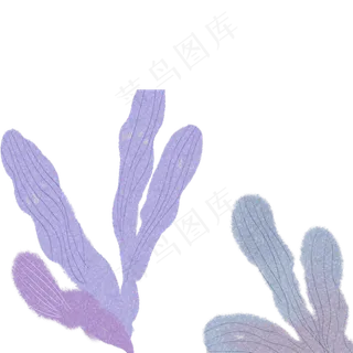 海带自然枝叶植物