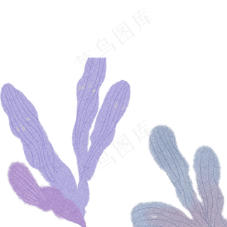 海带自然枝叶植物