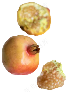 水果石榴 水果石榴