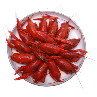 红色小龙虾,免抠元素