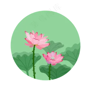 夏季的荷花和荷叶PNG