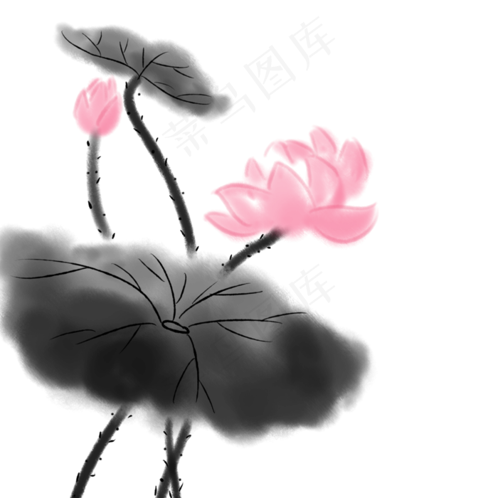 手绘传统花卉水墨荷花