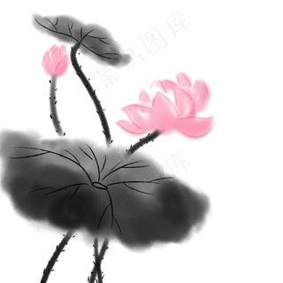 手绘传统花卉水墨荷花