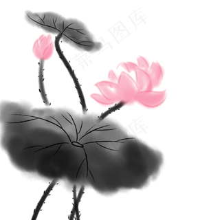 手绘传统花卉水墨荷花