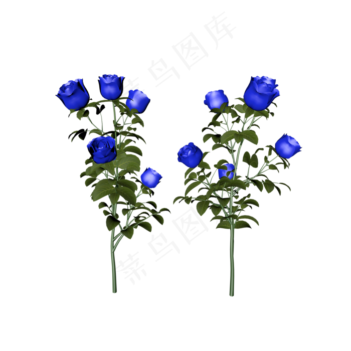 蓝色玫瑰(2000*2000px 300 dpi )
