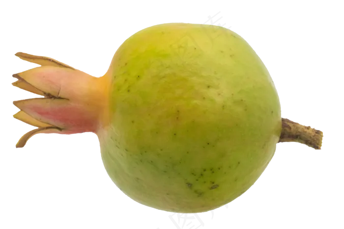 水果青色石榴(3000X3000(DPI:300))