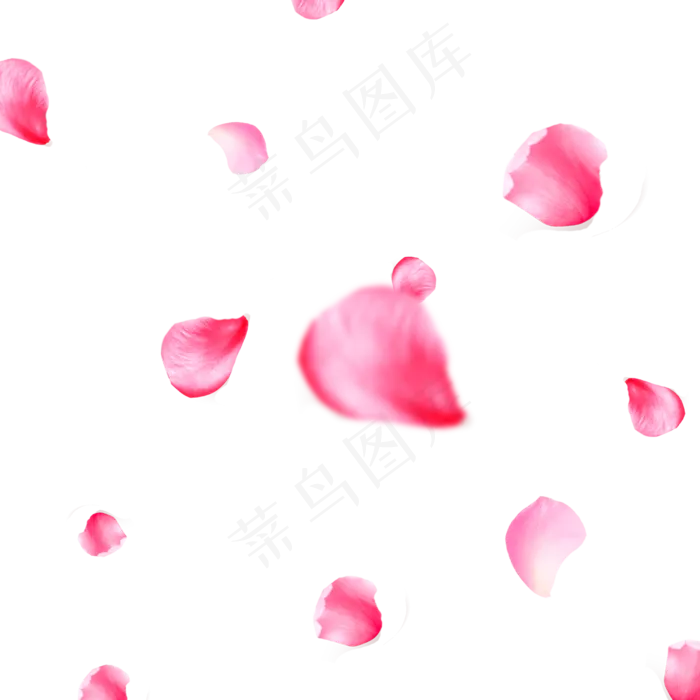 漂浮鲜花玫瑰(2500X2500(DPI:300))psd模版下载