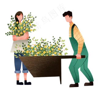 夏至情侣和小花