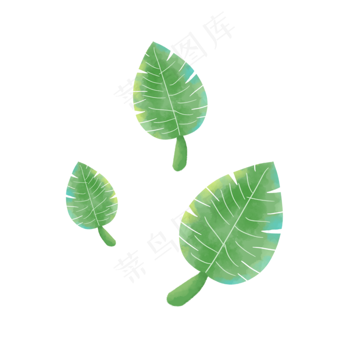 绿色的树叶(2000X2000(DPI:300))psd模版下载
