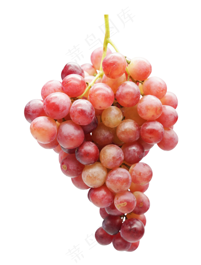 一串红色葡萄,免抠元素