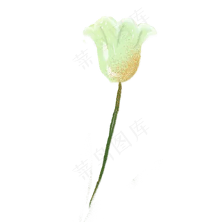 卡通白色花朵下载