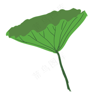 绿色生态荷叶免抠图