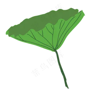 绿色生态荷叶免抠图