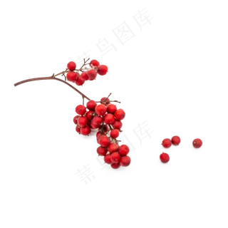 干花圣诞冬青果红色果子装饰物品