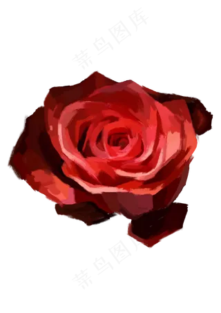 粉色的大玫瑰花