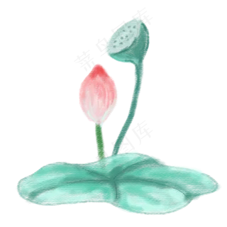 一朵水彩荷花插图