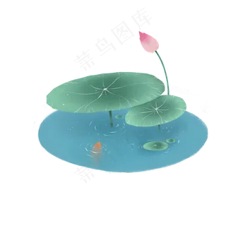 荷花png免抠