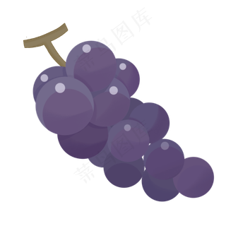 葡萄味道水果植物生长绿色