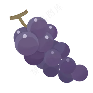 葡萄味道水果植物生长绿色