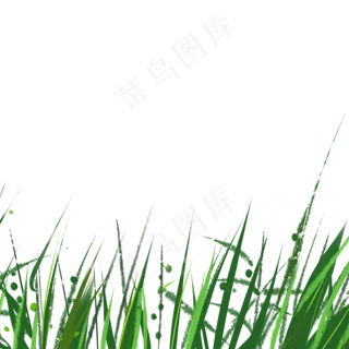 春天植物绿叶下载