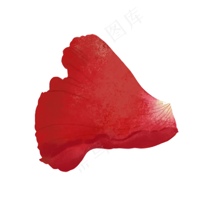 玫瑰花瓣花瓣(2000X2000(DPI:300))psd模版下载