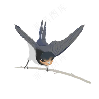 春季清明节的燕子