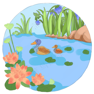 夏天池塘鸭子游水