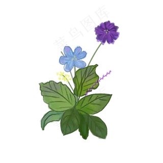 小清新的蓝紫色花朵