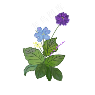 小清新的蓝紫色花朵